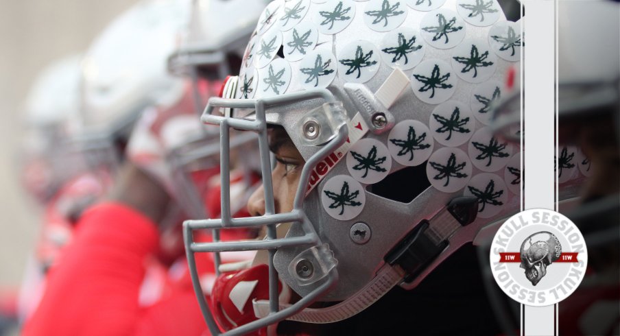 The leafs are on the helmet in today's skull session.