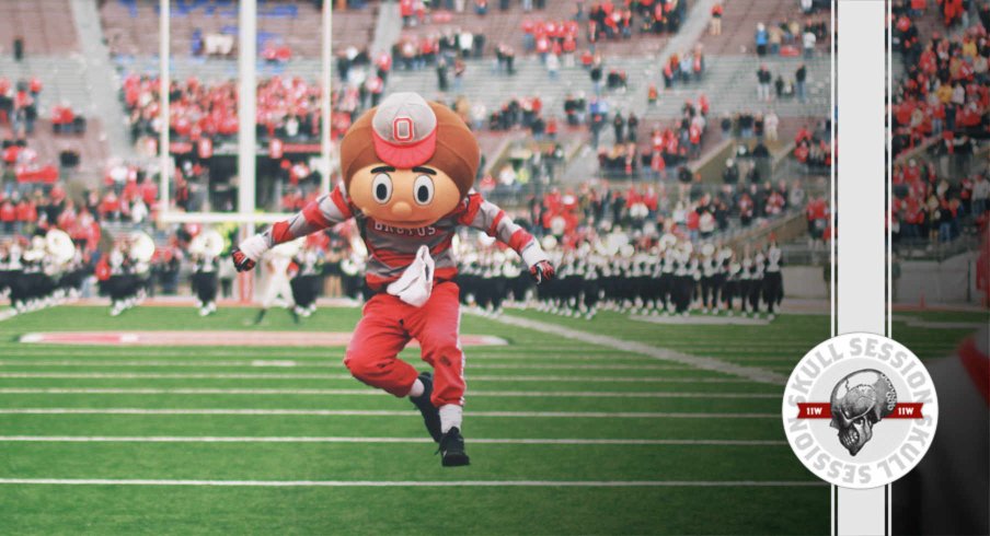 Brutus is happy in today's skull session.