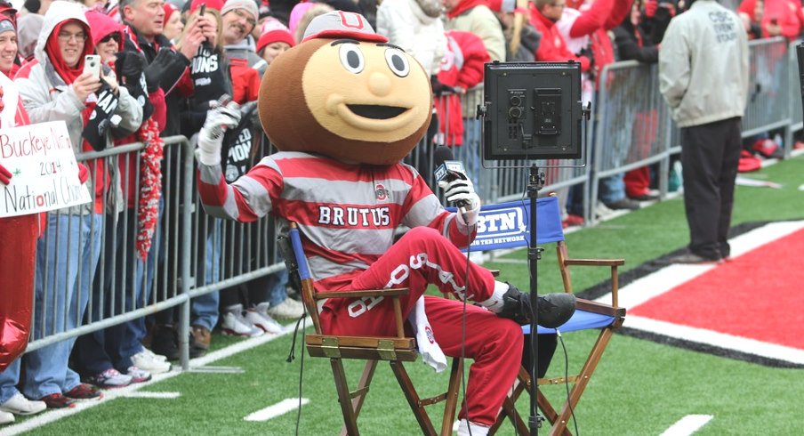 Brutus Buckeye Being a Boss