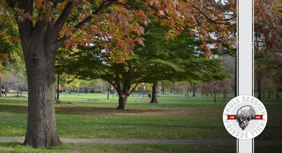 We're missing autumn on campus in today's skull session.