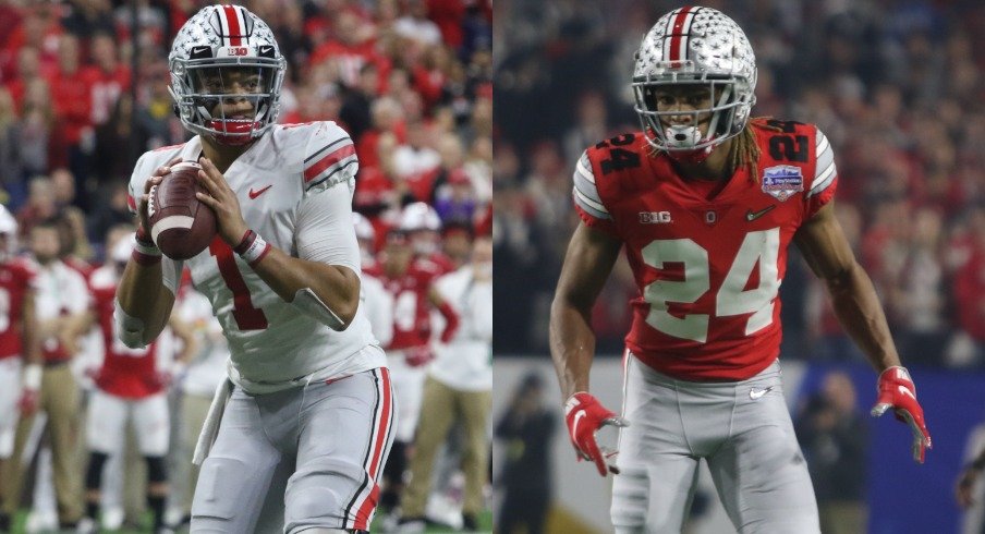 ohio state buckeyes team shop