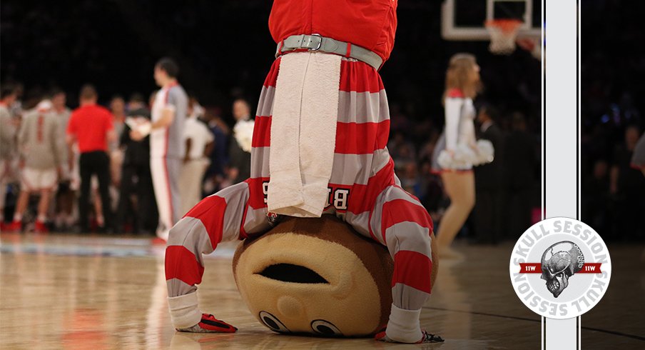 Brutus is doing a headstand in today's skull session.