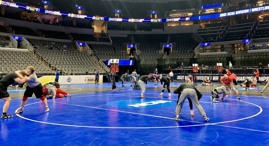 Buckeyes Are Ready to Scrap in St. Louis