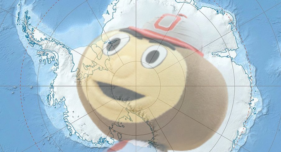 Brrrrutus Buckeye