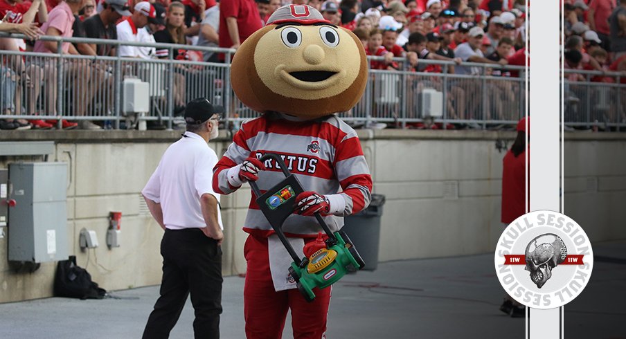 Brutus has a lawn mower for some reason in today's skull session.