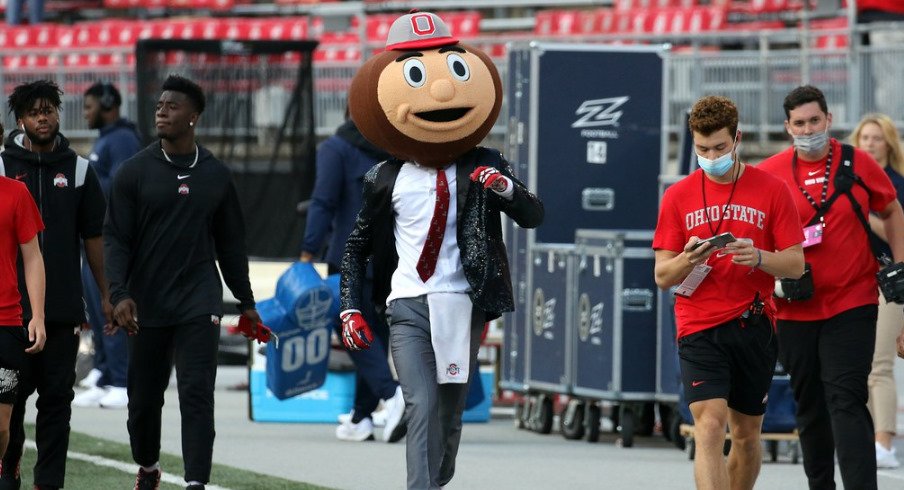 Brutus Buckeye