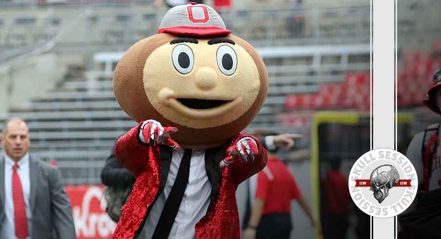 Brutus is looking sharp in today's skull session.