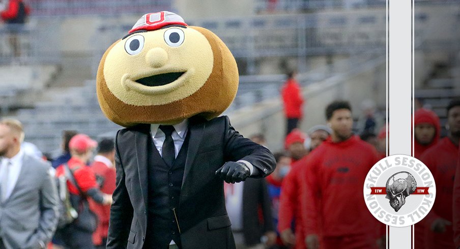 Brutus is looking dapper in today's skull session.