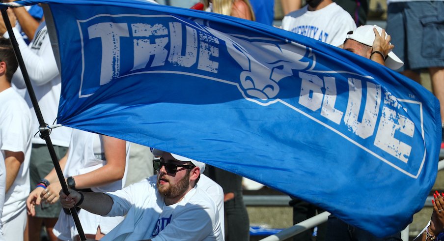 Buffalo Bulls flag