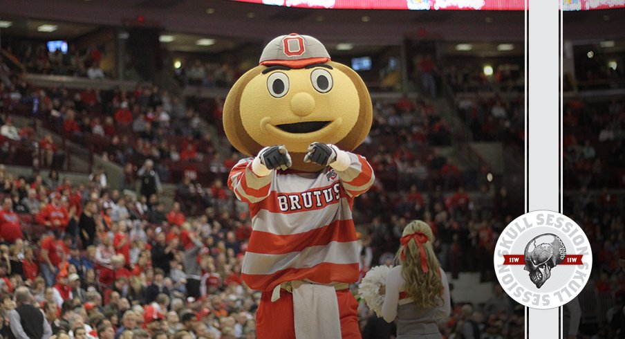 Brutus is pointing in today's skull session.