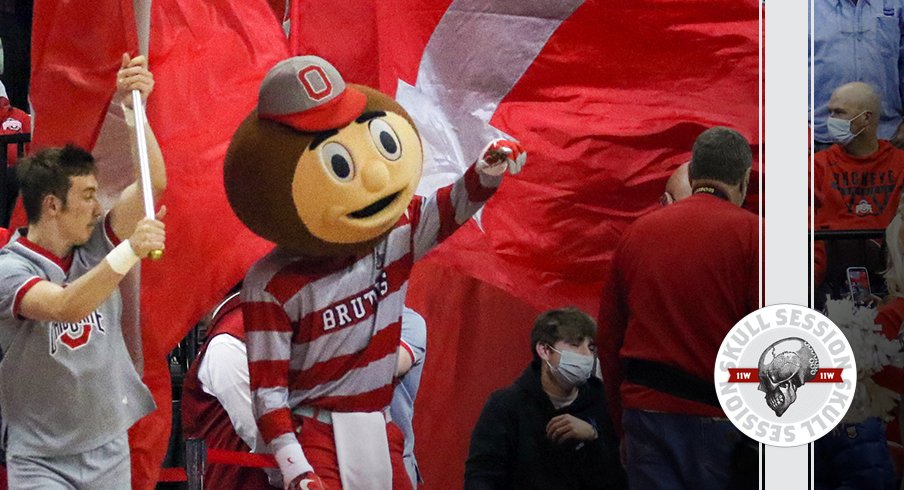 Brutus is leading them out of the tunnel in today's skull session.