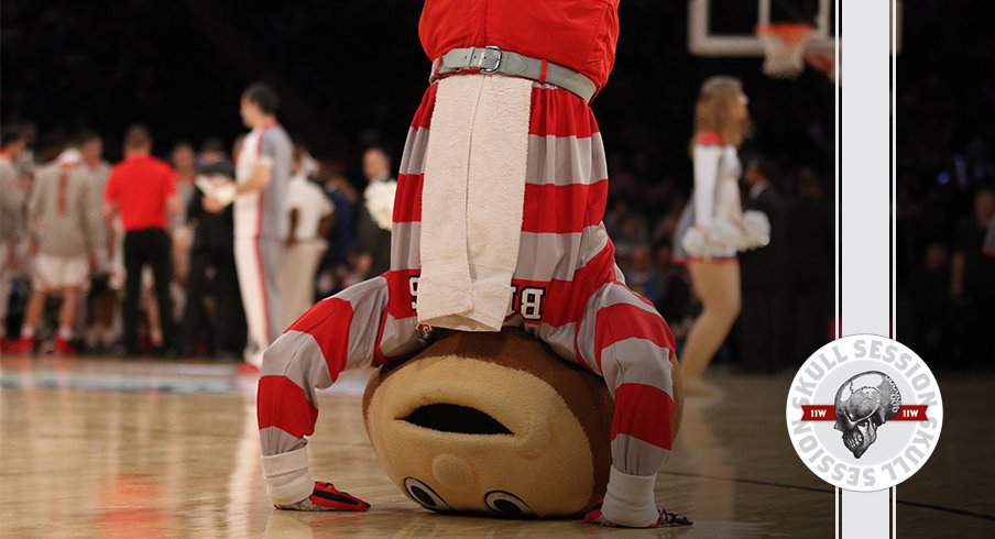 Brutus is ready to dance in today's skull session.