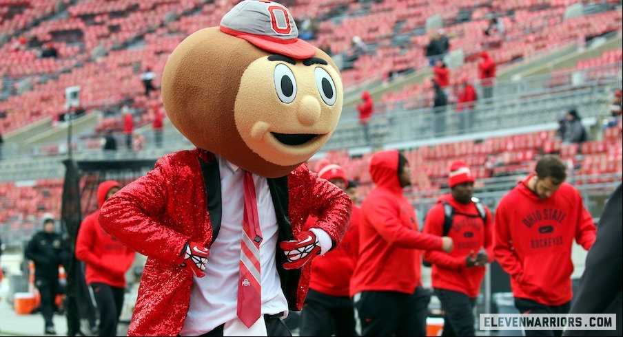 Brutus Buckeye