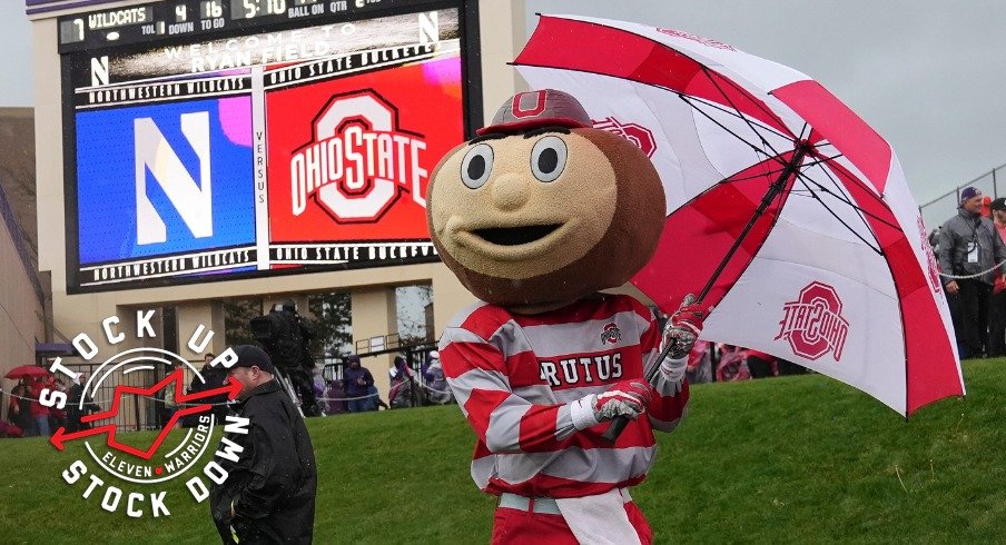 Brutus Buckeye