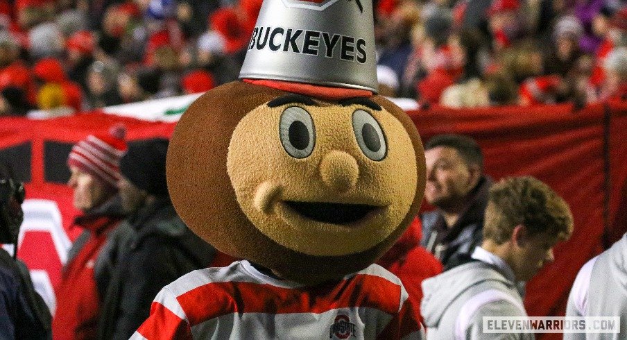 Brutus Buckeye was feeling it at Maryland