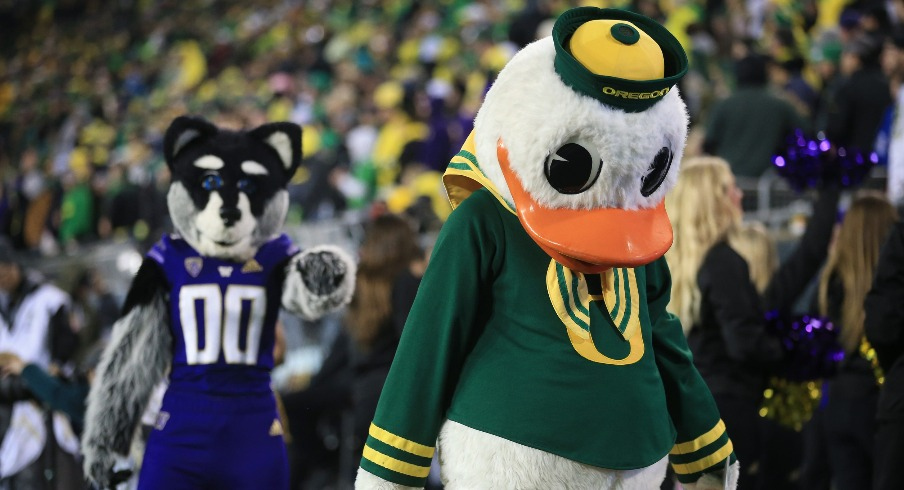 Oregon Duck and Washington Husky