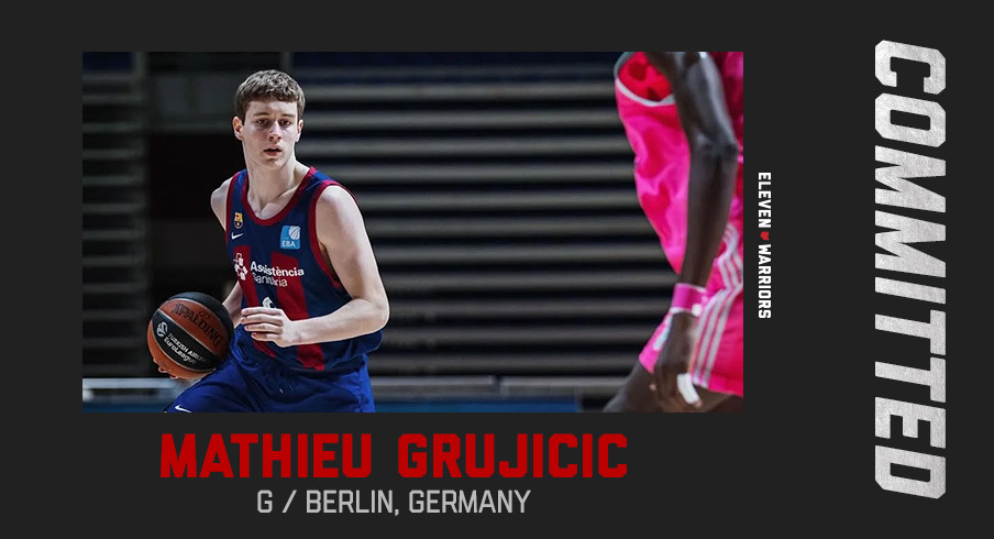 Mathieu Grujicic