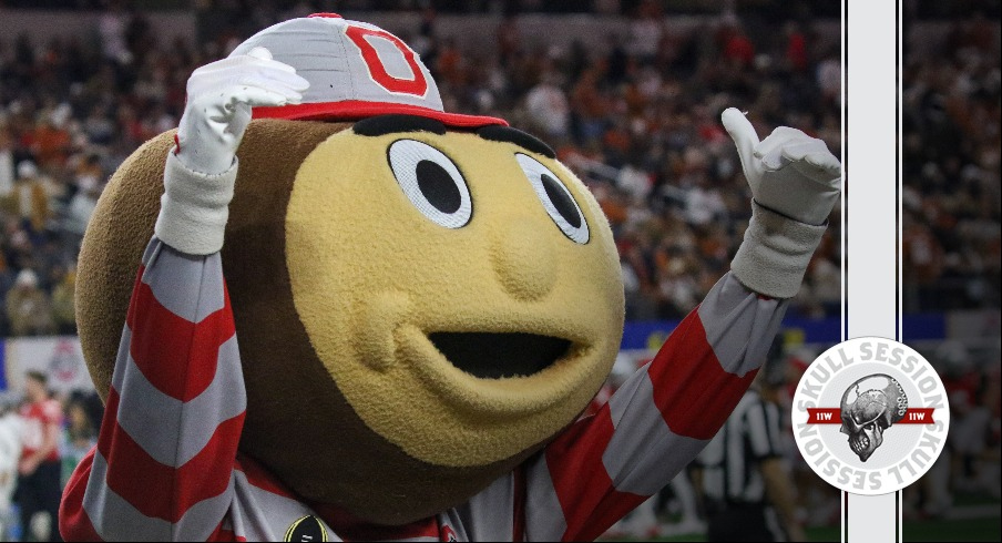 Brutus Buckeye