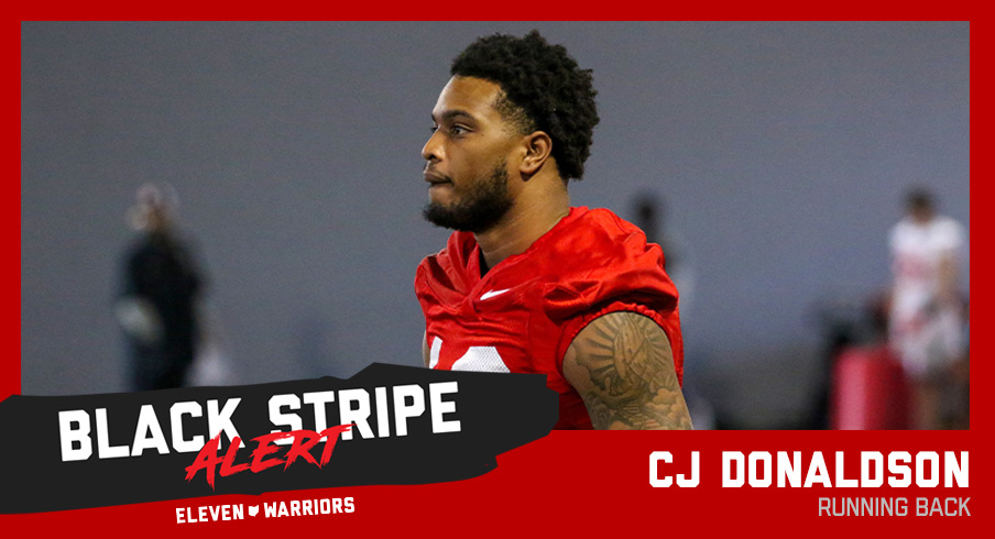 CJ Donaldson black stripe graphic