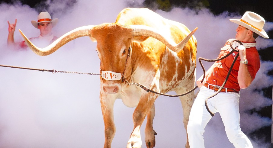 Bevo