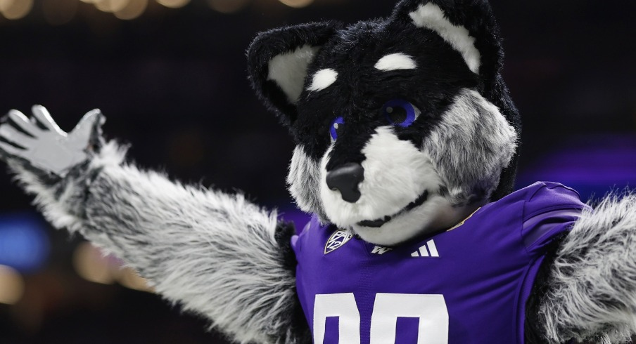 Washington Husky