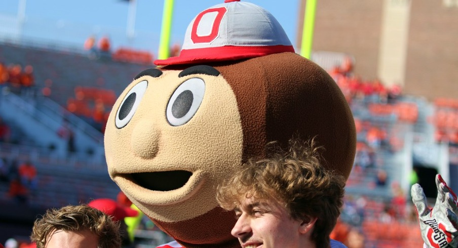 Brutus Buckeye
