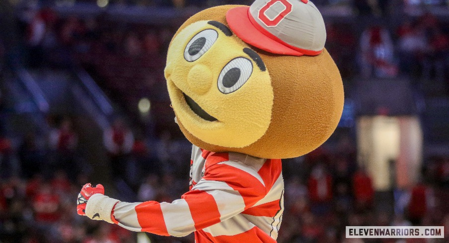 Brutus Buckeye